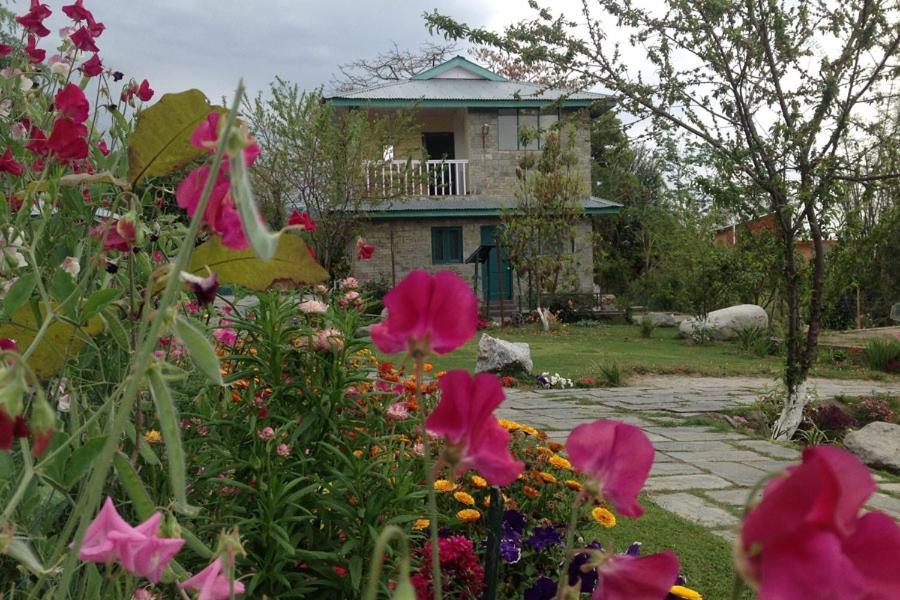 Nagri Resort Pālampur Dış mekan fotoğraf