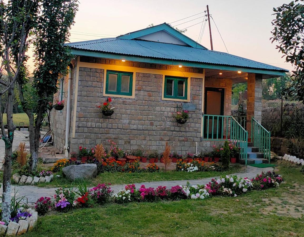 Nagri Resort Pālampur Dış mekan fotoğraf