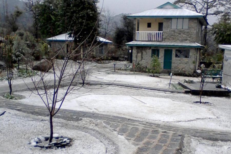 Nagri Resort Pālampur Dış mekan fotoğraf