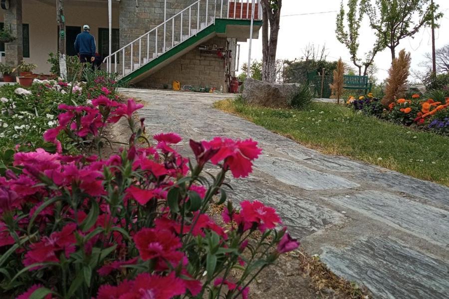 Nagri Resort Pālampur Dış mekan fotoğraf