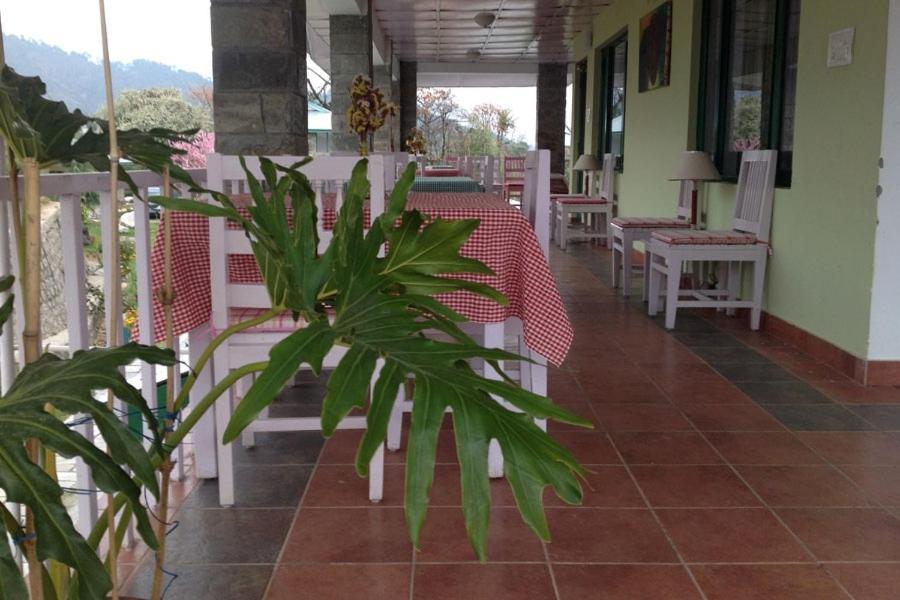 Nagri Resort Pālampur Dış mekan fotoğraf