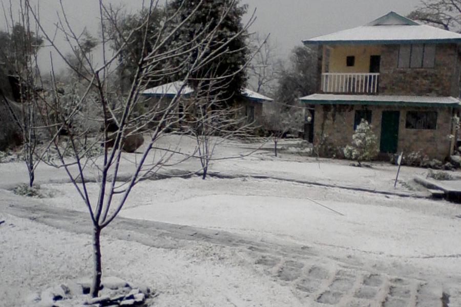 Nagri Resort Pālampur Dış mekan fotoğraf