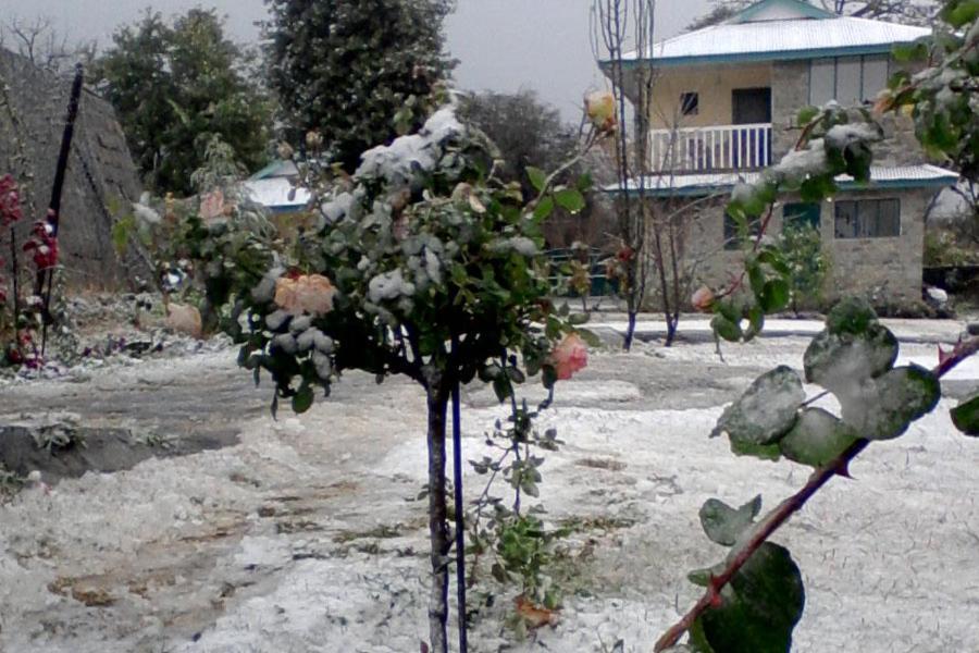 Nagri Resort Pālampur Dış mekan fotoğraf