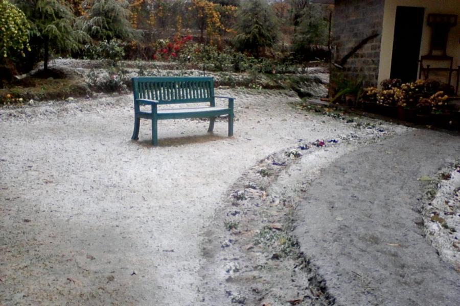 Nagri Resort Pālampur Dış mekan fotoğraf