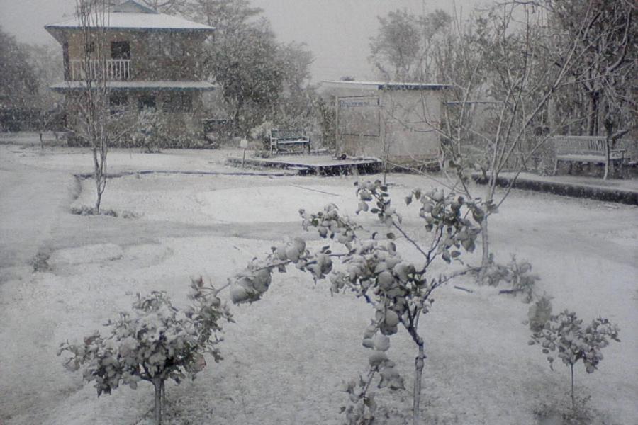 Nagri Resort Pālampur Dış mekan fotoğraf