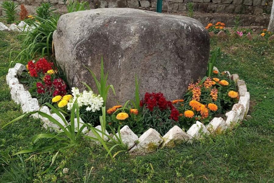 Nagri Resort Pālampur Dış mekan fotoğraf