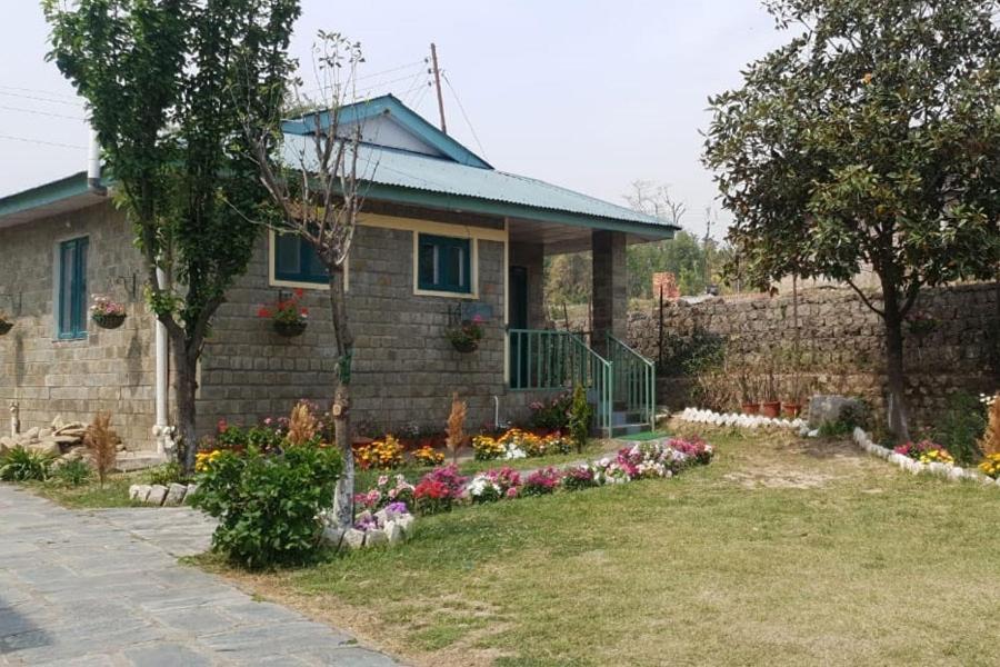 Nagri Resort Pālampur Dış mekan fotoğraf