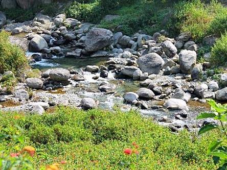 Nagri Resort Pālampur Dış mekan fotoğraf